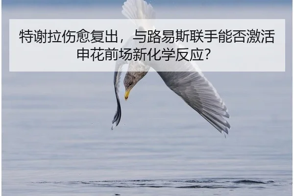 特谢拉伤愈复出，与路易斯联手能否激活申花前场新化学反应？