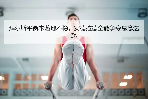 bai-er-si-ping-heng-mu-luo-di-bu-wen-an-de-la-de-quan-neng-zheng-duo-xuan-nian-die-qi-2-625.jpg