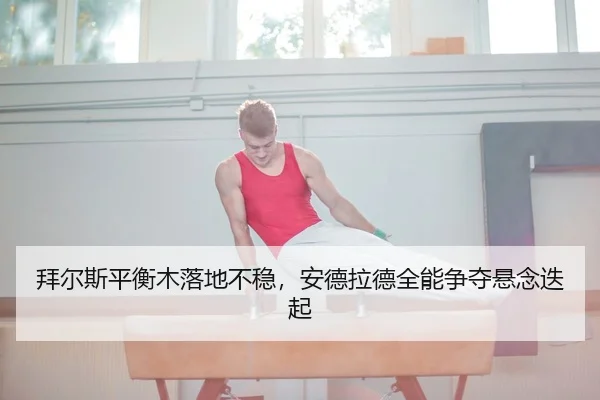 bai-er-si-ping-heng-mu-luo-di-bu-wen-an-de-la-de-quan-neng-zheng-duo-xuan-nian-die-qi-3-276.jpg