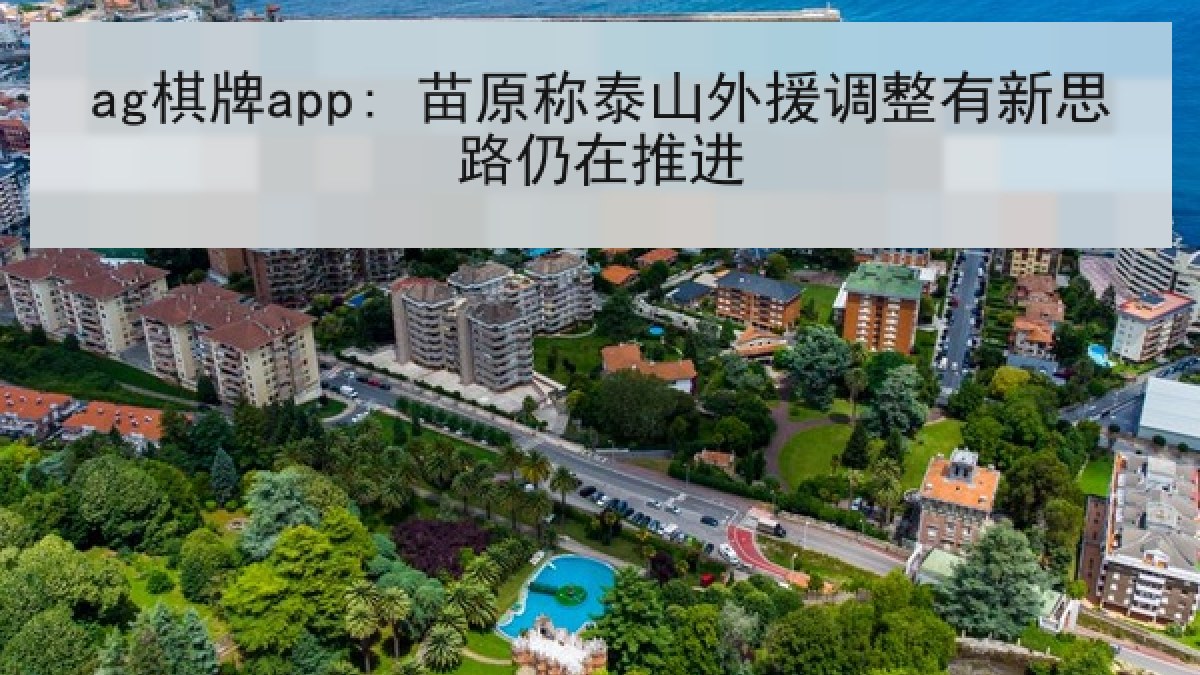 ag棋牌app: 苗原称泰山外援调整有新思路仍在推进