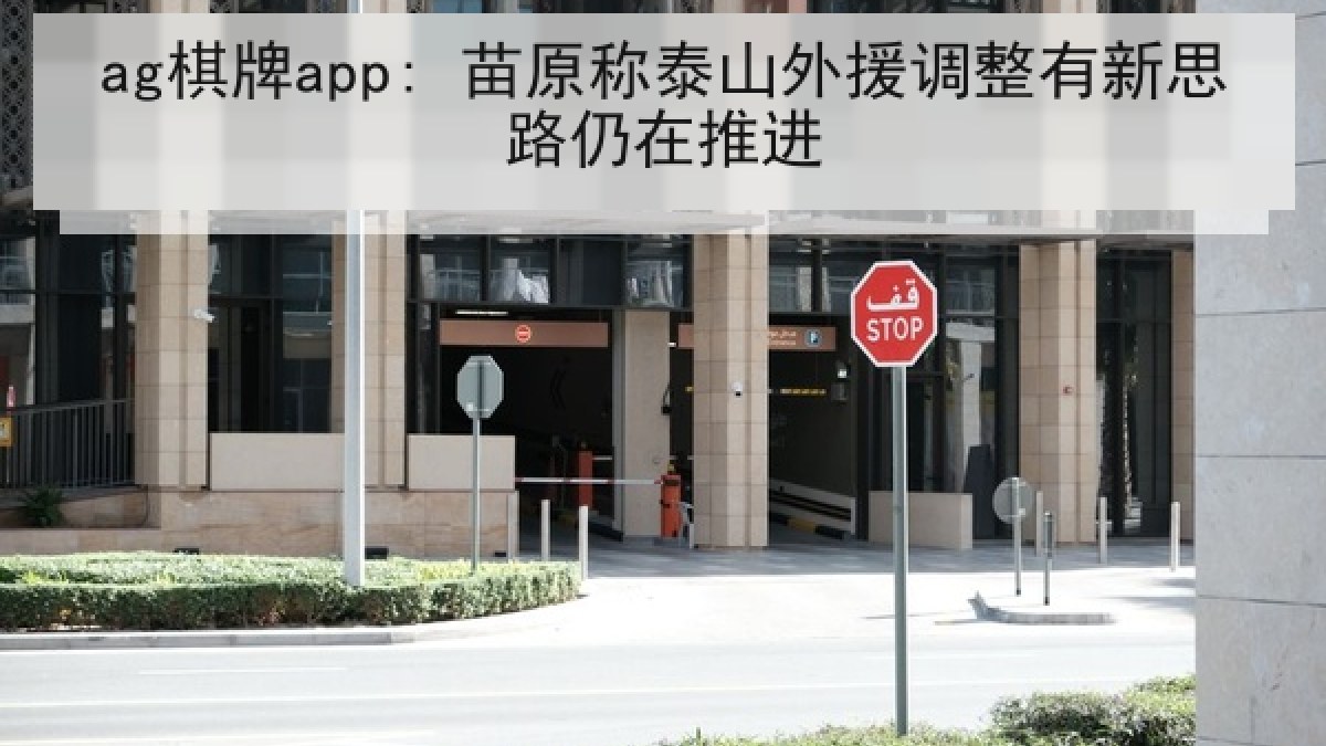 ag棋牌app: 苗原称泰山外援调整有新思路仍在推进