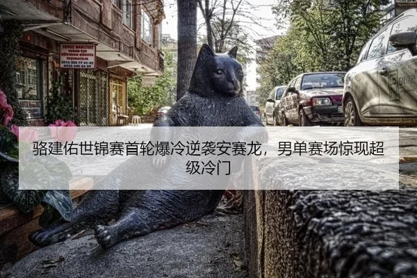 luo-jian-you-shi-jin-sai-shou-lun-bao-leng-ni-xi-an-sai-long-nan-dan-sai-chang-jing-xian-chao-ji-leng-men-2-644.jpg