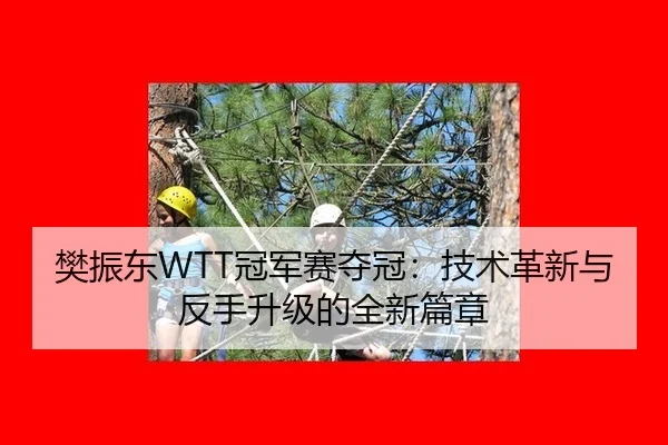 樊振东WTT冠军赛夺冠：技术革新与反手升级的全新篇章