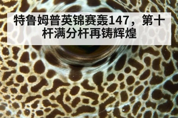 特鲁姆普英锦赛轰147，第十杆满分杆再铸辉煌