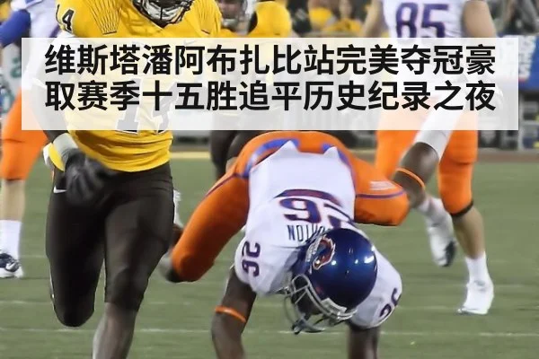 维斯塔潘阿布扎比站完美夺冠豪取赛季十五胜追平历史纪录之夜